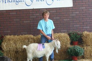 2013 Michigan Fiber Festival, Senior Reserve Champion Doe Shady Creek Farm Jenny, 11 yrs old Foundation doe at Gun Plain Pygoras