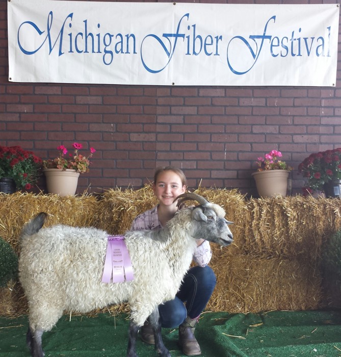 J's Bonnie Lass, Senior Reserve Champion at the Michigan Fiber Festival 2014 Pygora Show.