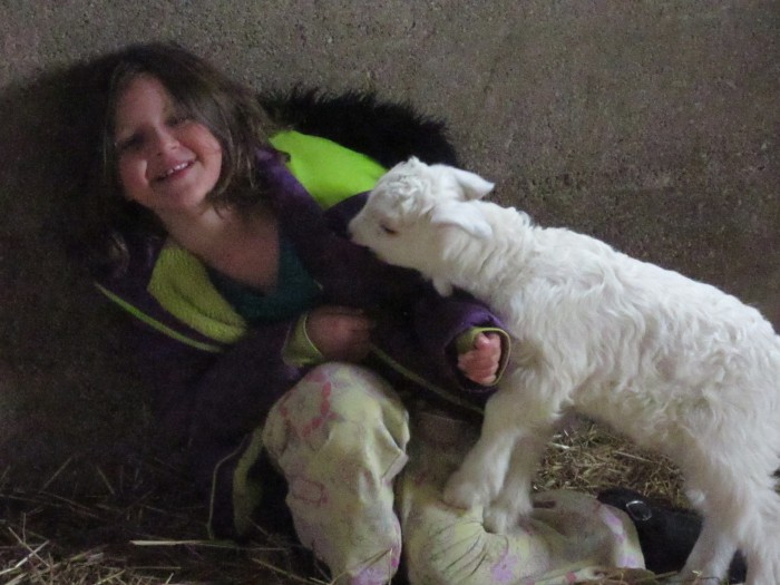 Hard to get crisp photos of "kids at play" inside the barn...